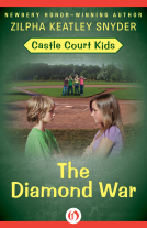 book cover for The Diamond War