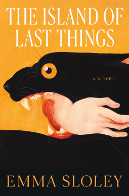 book cover for The Island of Last Things
