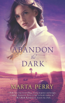 book cover for Abandon the Dark