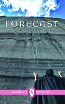 book cover for Forecast