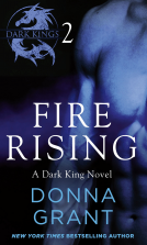 book cover for Fire Rising: Part 2
