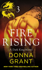 book cover for Fire Rising: Part 3
