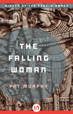 book cover for The Falling Woman