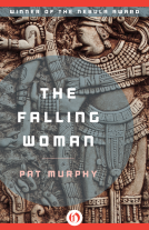book cover for The Falling Woman