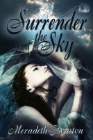 book cover for Surrender the Sky