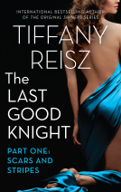book cover for The Last Good Knight Part I: Scars and Stripes
