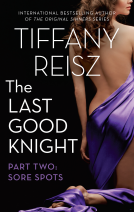 book cover for The Last Good Knight Part II: Sore Spots