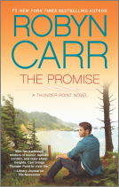 book cover for The Promise