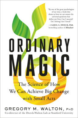 book cover for Ordinary Magic