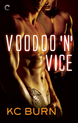 book cover for Voodoo 'n' Vice