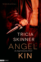 book cover for Angel Kin