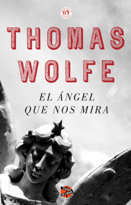 book cover for El ángel que nos mira