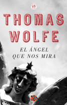 book cover for El ángel que nos mira