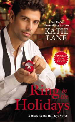 book cover for Ring in the Holidays