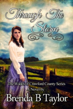book cover for Through The Storm