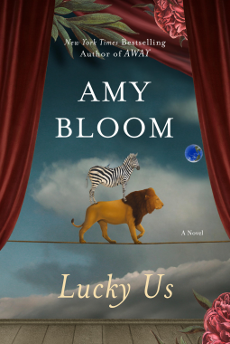 book cover for Lucky Us