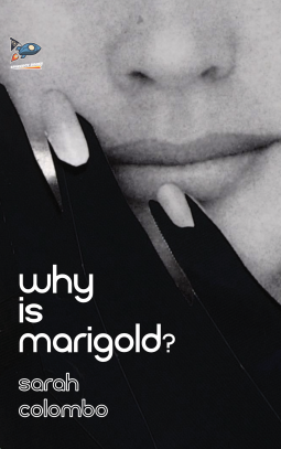 book cover for Why is Marigold?