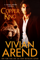 book cover for Copper King