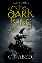 book cover for The Dark King