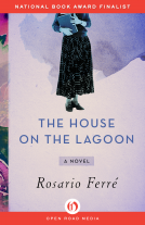 book cover for The House on the Lagoon