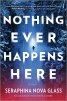 book cover for Nothing Ever Happens Here