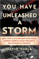 book cover for You Have Unleashed a Storm