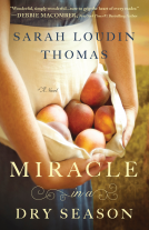 book cover for Miracle in a Dry Season