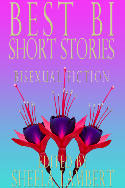 book cover for Best Bi Short Stories