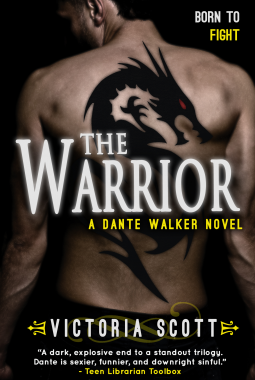 book cover for The Warrior