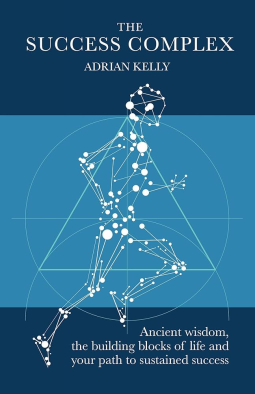 book cover for The Success Complex