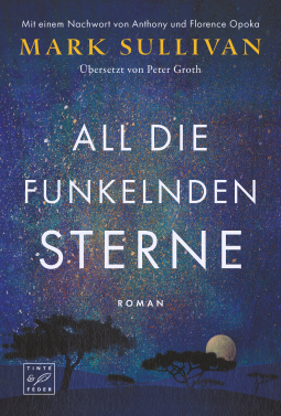 Buchcover für All die funkelnden Sterne