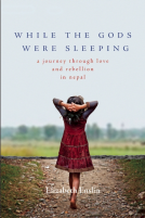 book cover for While the Gods Were Sleeping