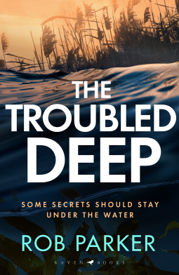 book cover for The Troubled Deep