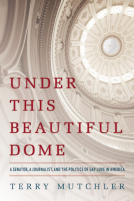 book cover for Under This Beautiful Dome