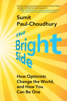 book cover for The Bright Side