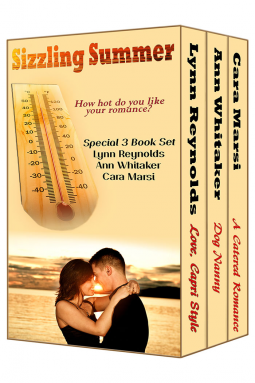 book cover for Sizzling Summer