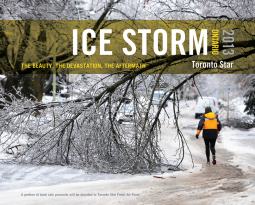 book cover for Ice Storm, Ontario 2013
