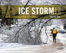 book cover for Ice Storm, Ontario 2013