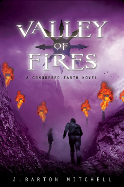 book cover for Valley of Fires