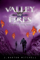 book cover for Valley of Fires