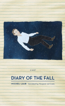 book cover for Diary of the Fall