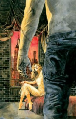 book cover for The Heart of the Beast