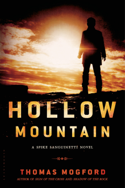 book cover for Hollow Mountain