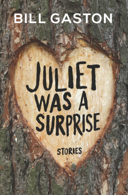 book cover for Juliet Was a Surprise