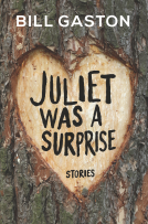 book cover for Juliet Was a Surprise
