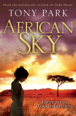 book cover for African Sky