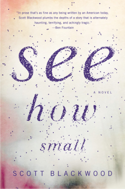 book cover for See How Small
