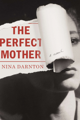 book cover for The Perfect Mother