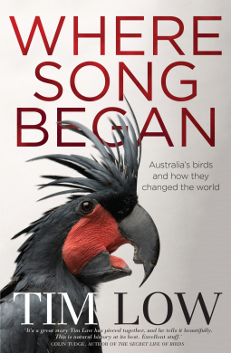 book cover for Where Song Began