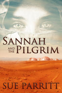 book cover for Sannah and the Pilgrim